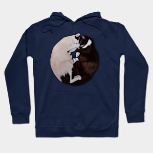 Yin Yang Cats Hoodie